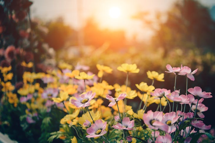 Tolle Ideen für kleine Gartenhäuser